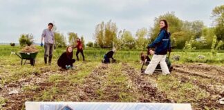 Films en gesprekken over stadslandbouw in Cinema De Vlugt