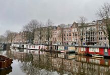 Hoop voor met kap bedreigde bomen: herstel Da Costakade mogelijk toch anders