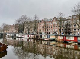 Hoop voor met kap bedreigde bomen: herstel Da Costakade mogelijk toch anders