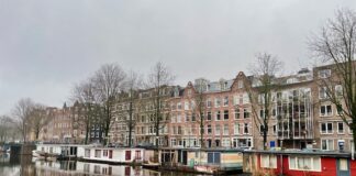 Hoop voor met kap bedreigde bomen: herstel Da Costakade mogelijk toch anders