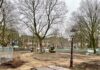 Frederik Hendrikplantsoen maatje groter, met 16 nieuwe bomen
