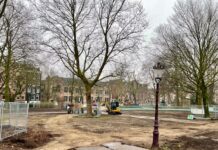 Frederik Hendrikplantsoen maatje groter, met 16 nieuwe bomen
