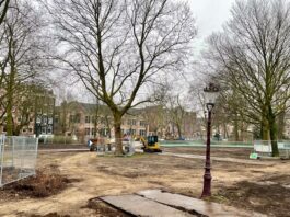 Frederik Hendrikplantsoen maatje groter, met 16 nieuwe bomen