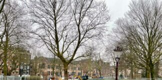 Frederik Hendrikplantsoen maatje groter, met 16 nieuwe bomen