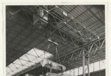 Tropisch hardhout in Houtveemloods – In de toekomst hart van Haven-Stad?