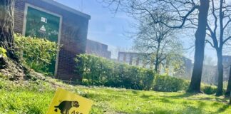 Vlaggetjes in hondendrollen op GWL-terrein