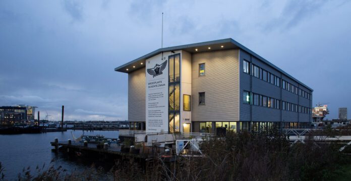 De Bonte Zwaan Anke Teunissen