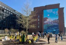 Kinderen helpen bij planten eik in nieuw parkje in Houthaven