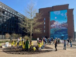 Kinderen helpen bij planten eik in nieuw parkje in Houthaven