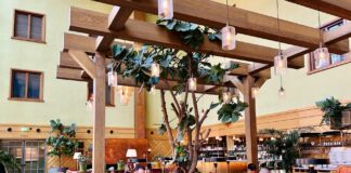 Op vakantie in Amsterdam-West: de 4 fijnste hotelontbijtjes