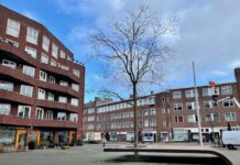 Wordt dit pleintje in De Baarsjes dan toch groen(er)?