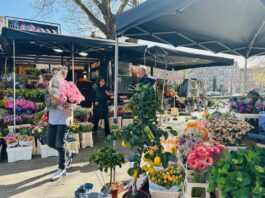 Pasen in Amsterdam-West: 20 prettips voor jong en oud