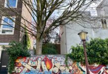 Stadsdeel wil uitbouw in achtertuin beperken in groter deel West