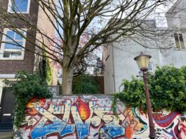 Stadsdeel wil uitbouw in achtertuin beperken in groter deel West