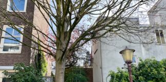 Stadsdeel wil uitbouw in achtertuin beperken in groter deel West