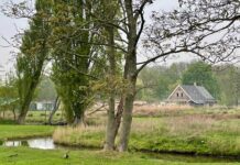 Buurtboerderij Westerpark weer zichtbaar