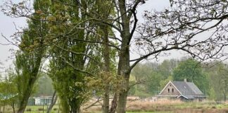 Buurtboerderij Westerpark weer zichtbaar