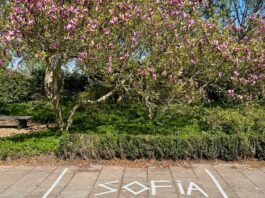 Eerste plekken voor Koningsdag al gereserveerd