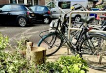 Vragen over late publicatie kapvergunning 95 bomen in West