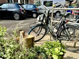 Vragen over late publicatie kapvergunning 95 bomen in West