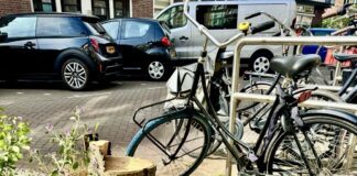 Vragen over late publicatie kapvergunning 95 bomen in West