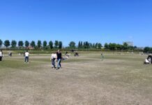 De Rollende Keukens strijkt neer op dor grasveld: ‘Onacceptabel dat je hier weken niet kunt picknicken’