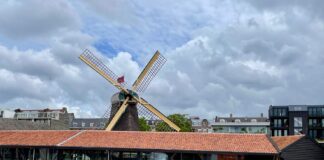 Plan voor museum bij molen De Otter, maar na 400 jaar dreigt gebrek aan wind