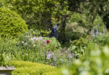 Dwalen door het Nieuwe Bijenpark tijdens de open tuinen dag