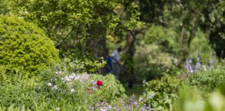 Dwalen door het Nieuwe Bijenpark tijdens de open tuinen dag