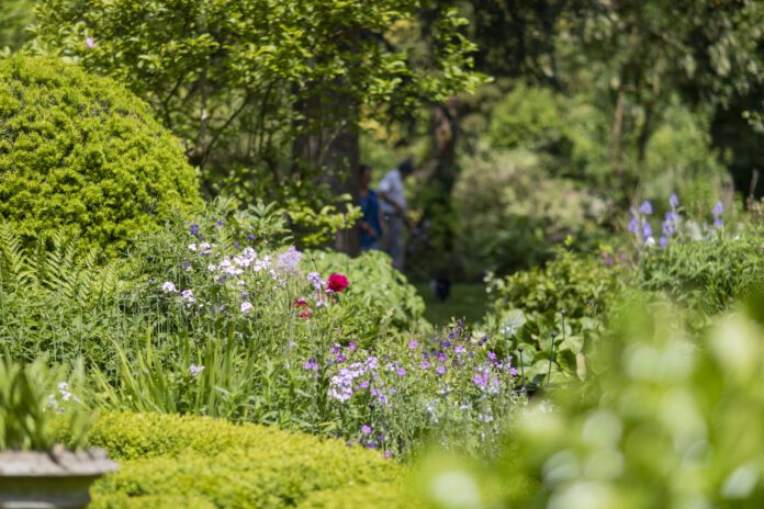 Nieuwe Bijenpark - Foto credit_Saffron Pape