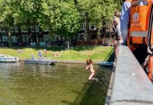 Sprong in de gracht – Meer zon in het vooruitzicht