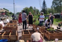 Zó wordt Amsterdam één grote groentetuin