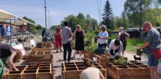 Zó wordt Amsterdam één grote groentetuin