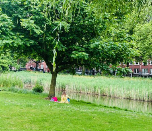 Krijgt je lievelingsboom al bescherming?