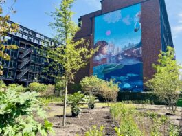‘Pocketpark’ Houthavens Botanique geopend