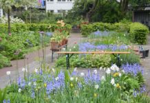 3 toffe gratis tuintrips in de buurt