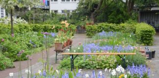 3 toffe gratis tuintrips in de buurt