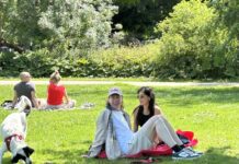 Hoe je optimaal luiert in het Vondelpark