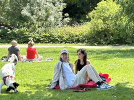 Hoe je optimaal luiert in het Vondelpark