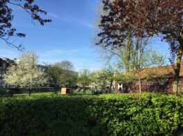 Stadsboerderij Zimmerhoeve kijkt naar de toekomst