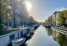 Herstel Da Costakade met behoud meeste bomen mogelijk