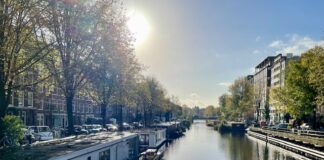 Herstel Da Costakade met behoud meeste bomen mogelijk