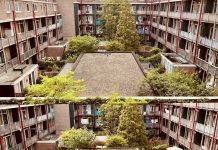 Groen dak aanleggen bleek redelijk simpel, stelt VvE in De Baarsjes