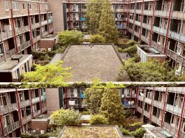 Groen dak aanleggen bleek redelijk simpel, stelt VvE in De Baarsjes