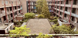 Groen dak aanleggen bleek redelijk simpel, stelt VvE in De Baarsjes