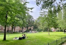 Zorgen buurtbewoners over plan opknapbeurt Spaarndammerplantsoen
