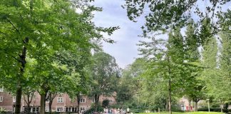 Zorgen buurtbewoners over plan opknapbeurt Spaarndammerplantsoen