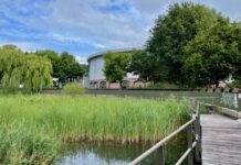 Met een zeis honingbijen helpen bij vijver Gashouder