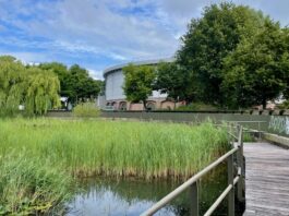 Met een zeis honingbijen helpen bij vijver Gashouder