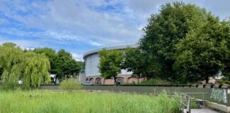 Met een zeis honingbijen helpen bij vijver Gashouder
